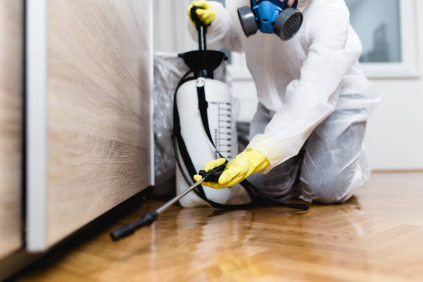 Best Residential Pest Control  in Solvay, NY