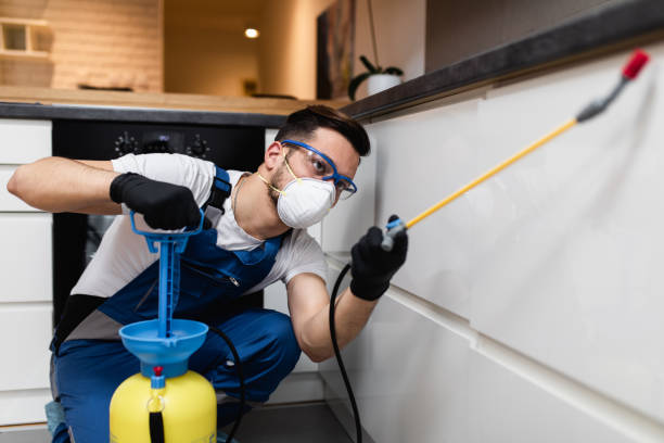 Best Mosquito Control Services  in Solvay, NY