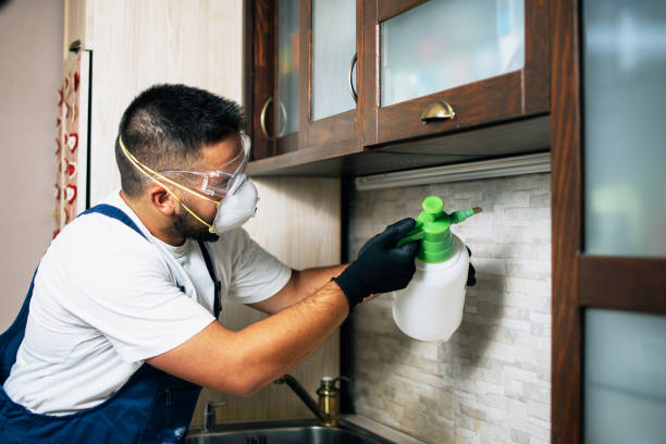 Best Commercial Pest Control Services  in Solvay, NY