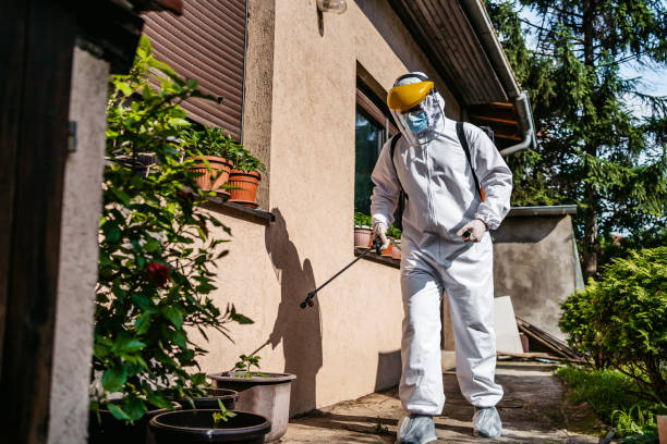 Flea Control Services in Solvay, NY