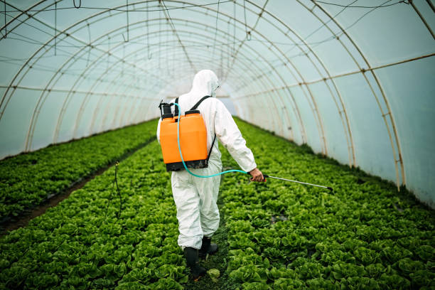 Best Exterminator Services  in Solvay, NY