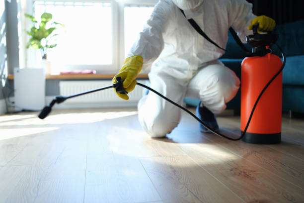 Professional Pest Control in Solvay, NY