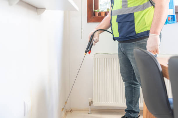 Best Affordable Pest Control Services  in Solvay, NY