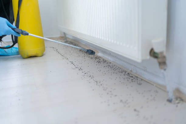 Best Pest Inspection Near Me  in Solvay, NY
